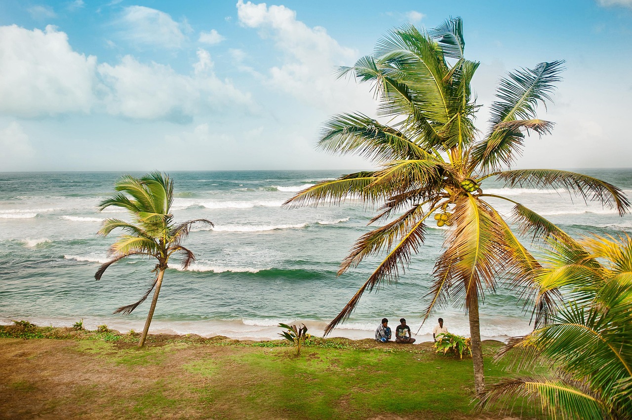 Explora destinos únicos para tus vacaciones en 2025. Desde playas secretas hasta ciudades históricas y aventuras exclusivas, encuentra tu próximo viaje inolvidable.
